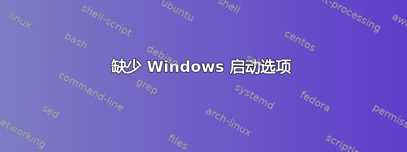 缺少 Windows 启动选项