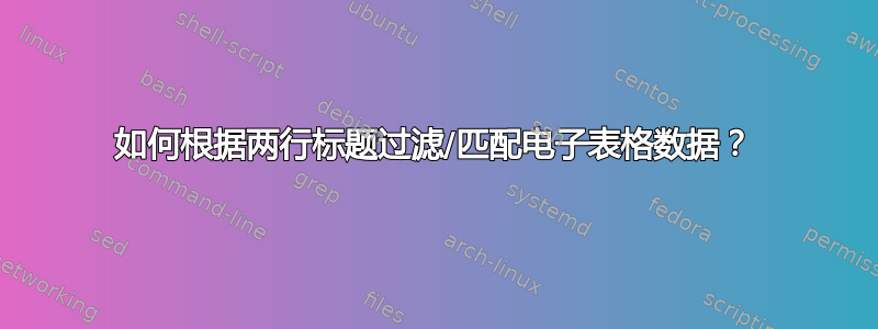 如何根据两行标题过滤/匹配电子表格数据？