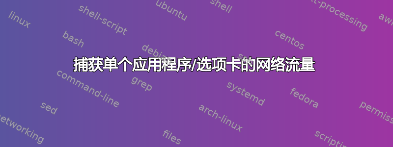 捕获单个应用程序/选项卡的网络流量