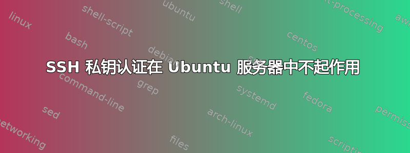 SSH 私钥认证在 Ubuntu 服务器中不起作用