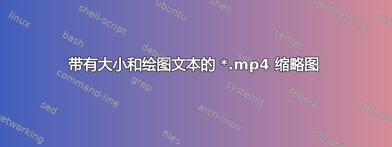 带有大小和绘图文本的 *.mp4 缩略图