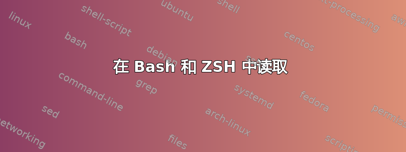 在 Bash 和 ZSH 中读取