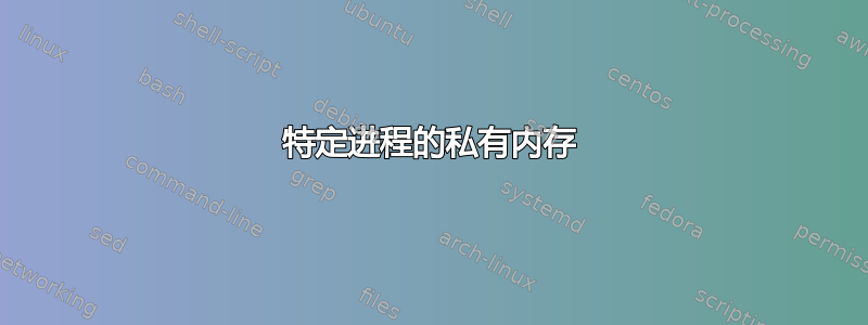 特定进程的私有内存