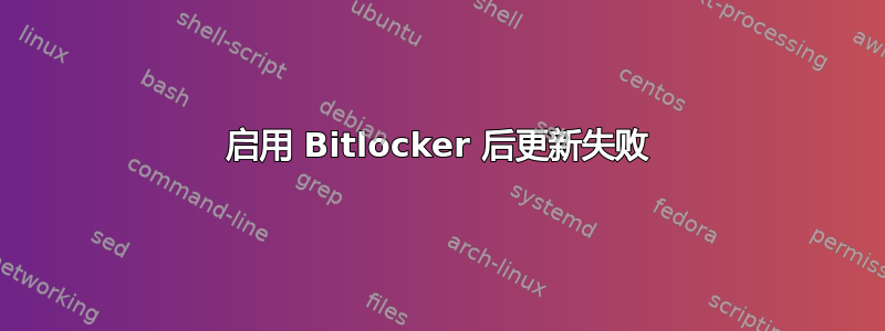 启用 Bitlocker 后更新失败