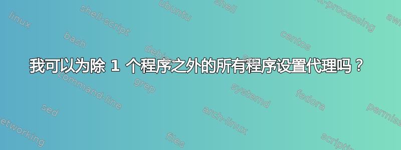 我可以为除 1 个程序之外的所有程序设置代理吗？