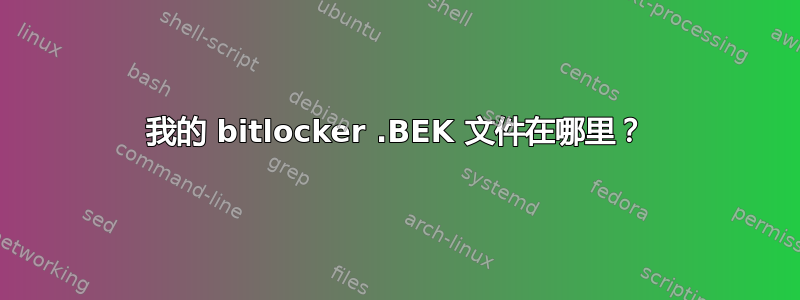 我的 bitlocker .BEK 文件在哪里？