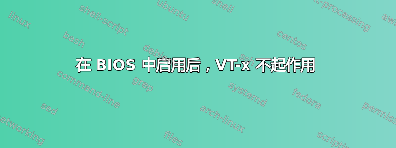 在 BIOS 中启用后，VT-x 不起作用