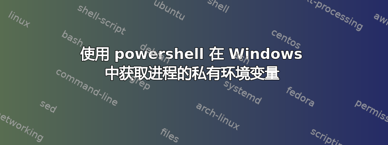 使用 powershell 在 Windows 中获取进程的私有环境变量