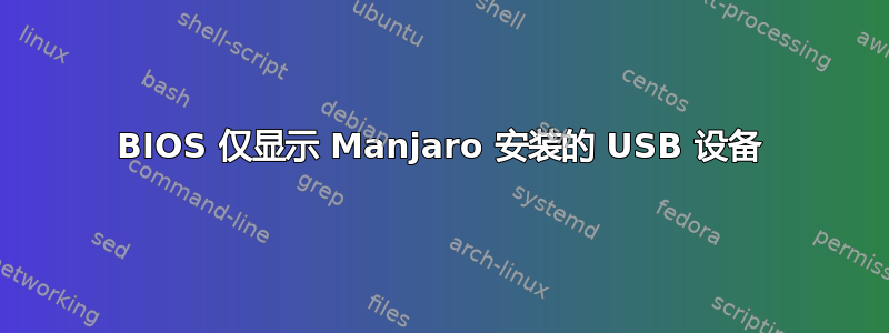 BIOS 仅显示 Manjaro 安装的 USB 设备