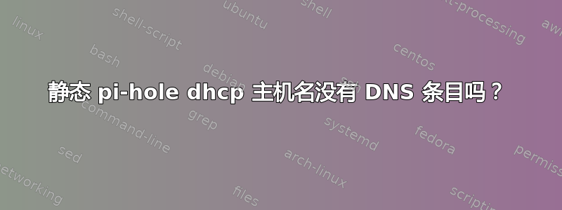 静态 pi-hole dhcp 主机名没有 DNS 条目吗？