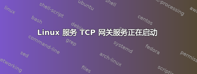 Linux 服务 TCP 网关服务正在启动