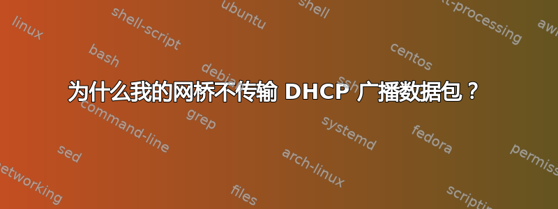 为什么我的网桥不传输 DHCP 广播数据包？