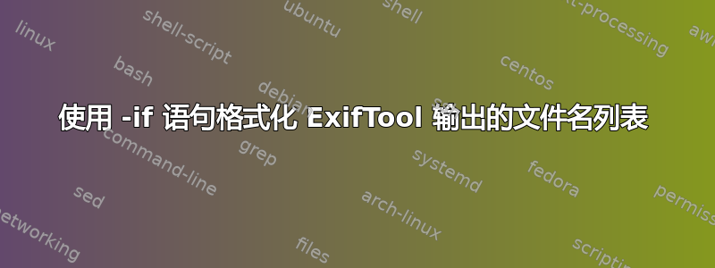 使用 -if 语句格式化 ExifTool 输出的文件名列表