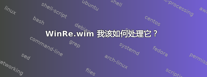 WinRe.wim 我该如何处理它？