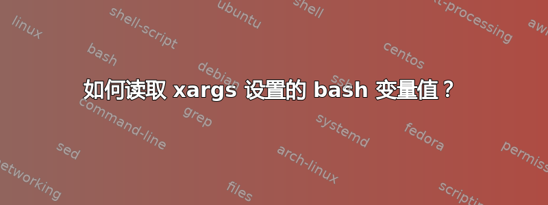 如何读取 xargs 设置的 bash 变量值？