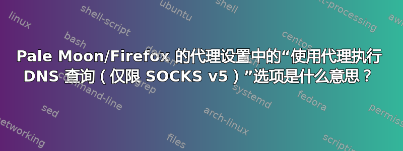 Pale Moon/Firefox 的代理设置中的“使用代理执行 DNS 查询（仅限 SOCKS v5）”选项是什么意思？