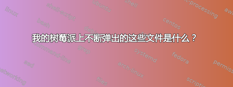 我的树莓派上不断弹出的这些文件是什么？