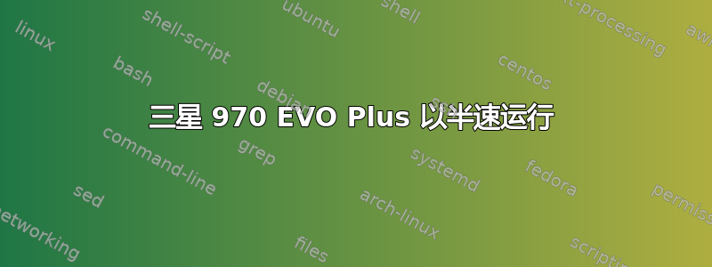 三星 970 EVO Plus 以半速运行