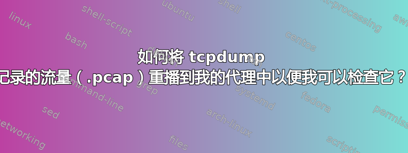 如何将 tcpdump 记录的流量（.pcap）重播到我的代理中以便我可以检查它？