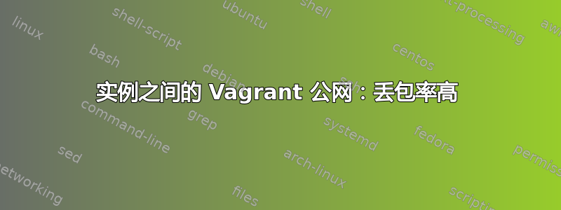 实例之间的 Vagrant 公网：丢包率高