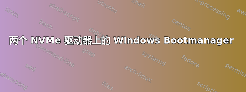 两个 NVMe 驱动器上的 Windows Bootmanager