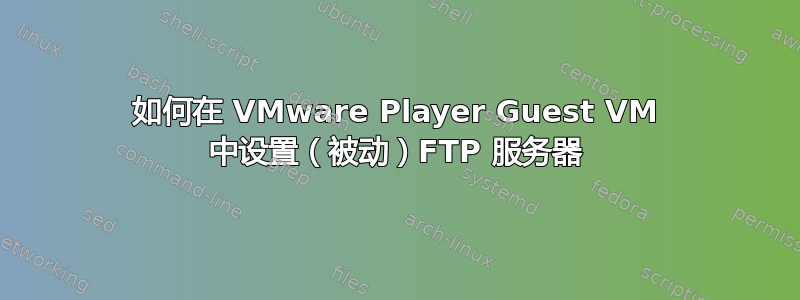 如何在 VMware Player Guest VM 中设置（被动）FTP 服务器