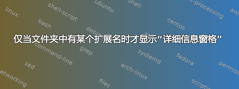 仅当文件夹中有某个扩展名时才显示“详细信息窗格”