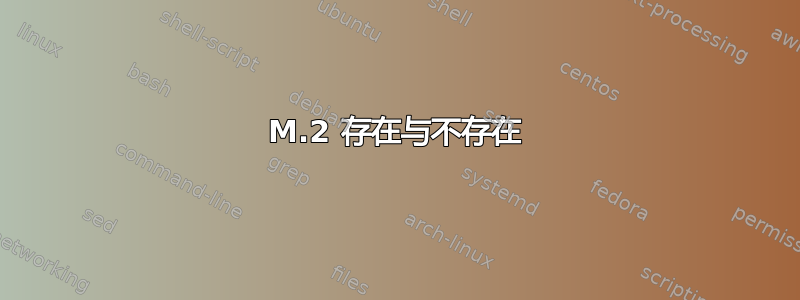 M.2 存在与不存在