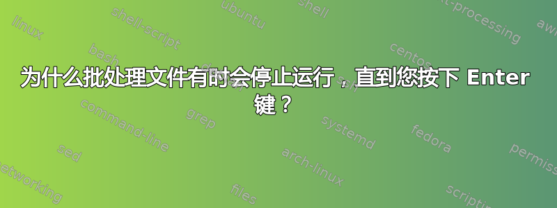 为什么批处理文件有时会停止运行，直到您按下 Enter 键？