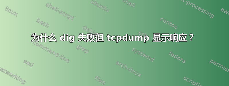 为什么 dig 失败但 tcpdump 显示响应？