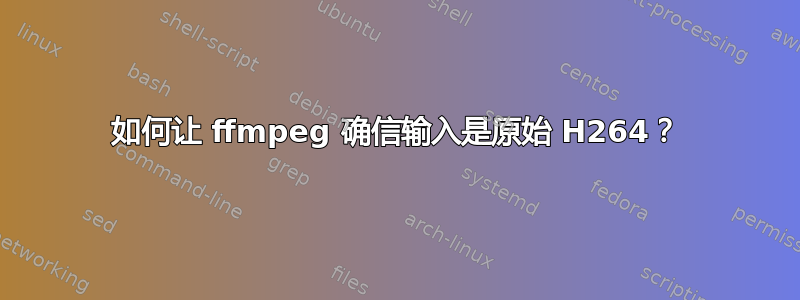 如何让 ffmpeg 确信输入是原始 H264？