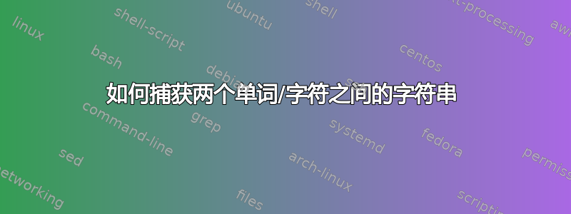 如何捕获两个单词/字符之间的字符串