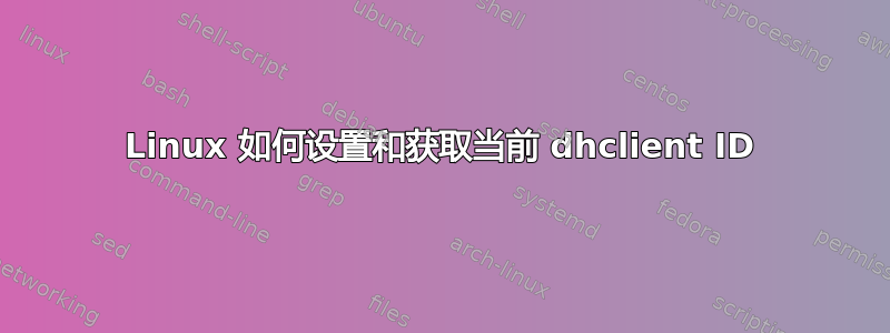 Linux 如何设置和获取当前 dhclient ID