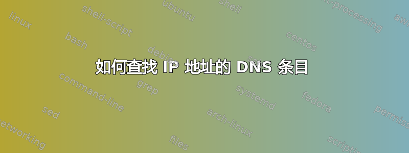 如何查找 IP 地址的 DNS 条目