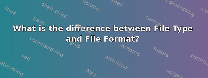 What is the difference between File Type and File Format?