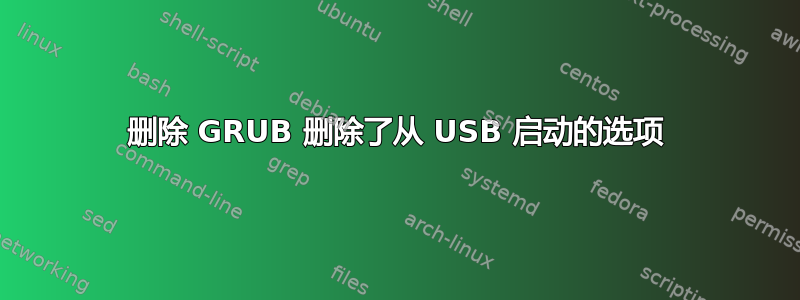 删除 GRUB 删除了从 USB 启动的选项