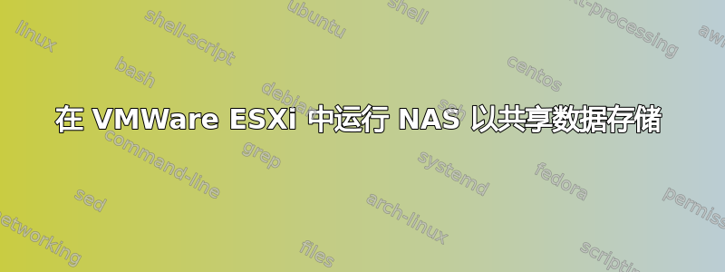 在 VMWare ESXi 中运行 NAS 以共享数据存储