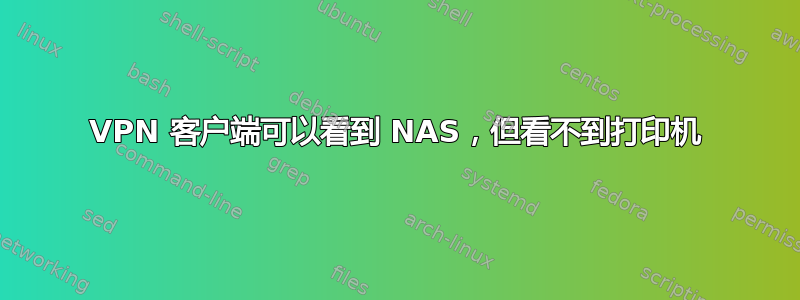 VPN 客户端可以看到 NAS，但看不到打印机