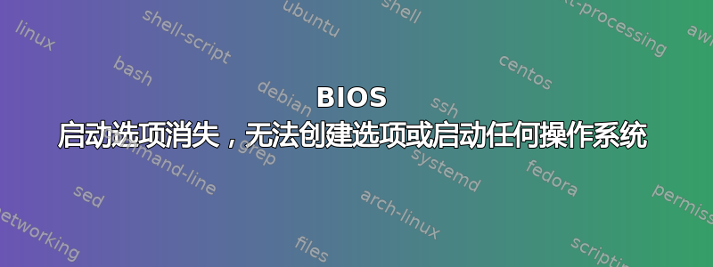 BIOS 启动选项消失，无法创建选项或启动任何操作系统