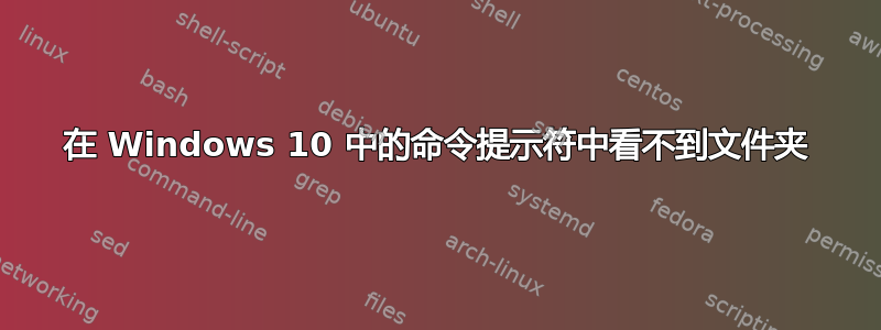 在 Windows 10 中的命令提示符中看不到文件夹