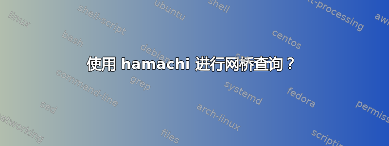 使用 hamachi 进行网桥查询？