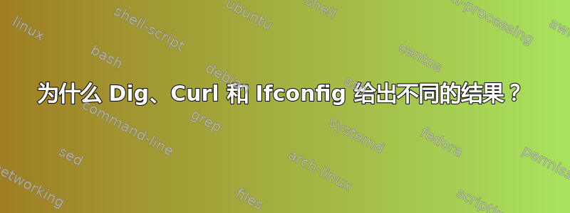 为什么 Dig、Curl 和 Ifconfig 给出不同的结果？