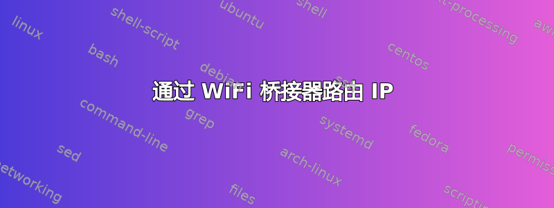 通过 WiFi 桥接器路由 IP