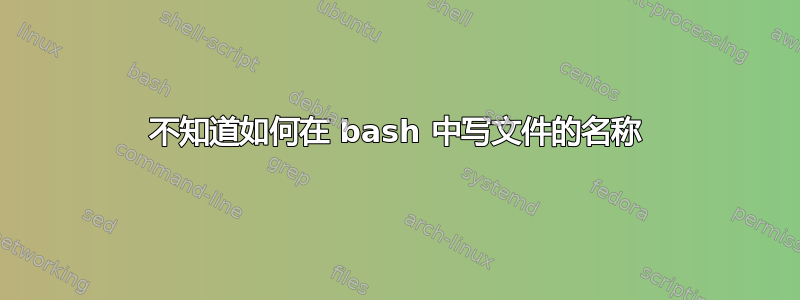 不知道如何在 bash 中写文件的名称