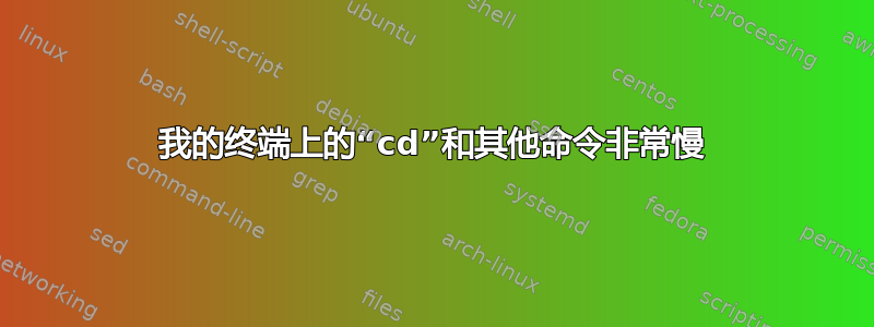 我的终端上的“cd”和其他命令非常慢