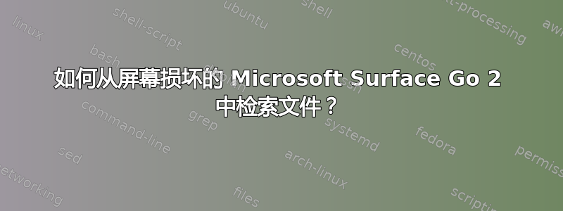 如何从屏幕损坏的 Microsoft Surface Go 2 中检索文件？