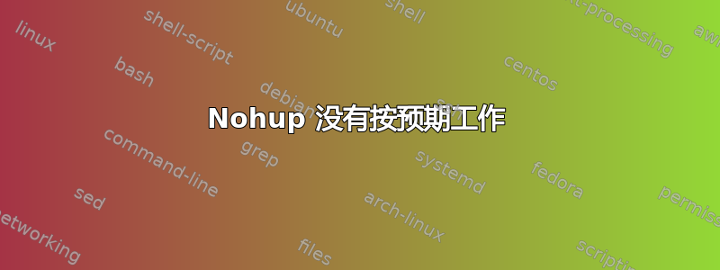 Nohup 没有按预期工作