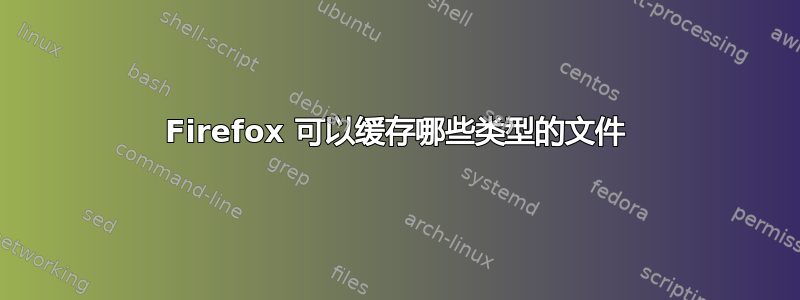 Firefox 可以缓存哪些类型的文件