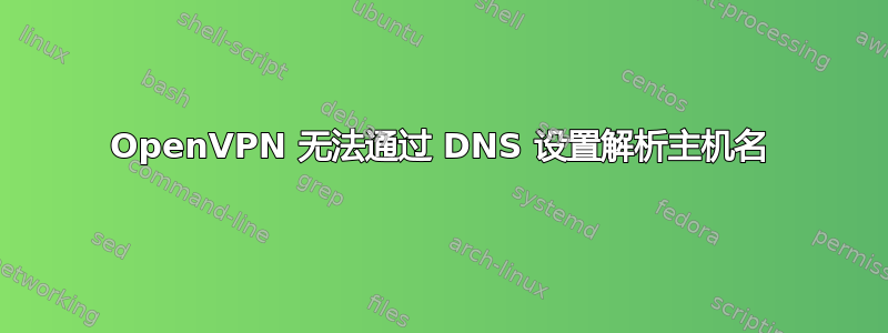 OpenVPN 无法通过 DNS 设置解析主机名