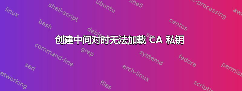 创建中间对时无法加载 CA 私钥